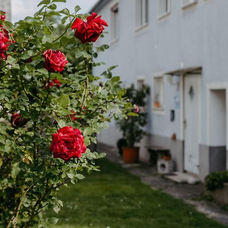 Ferienwohnung Morgensonne Schützen am Gebirge Exterior foto
